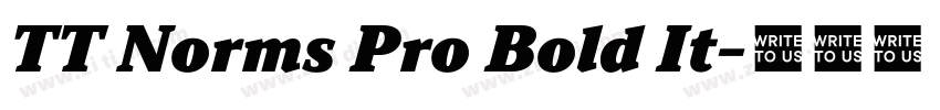 TT Norms Pro Bold It字体转换